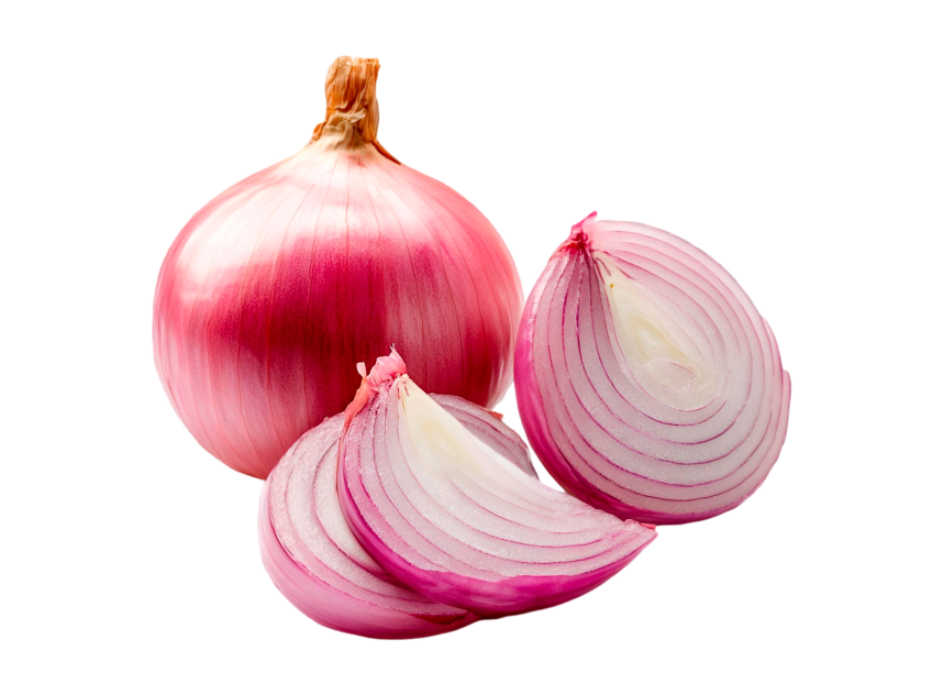 cebolla